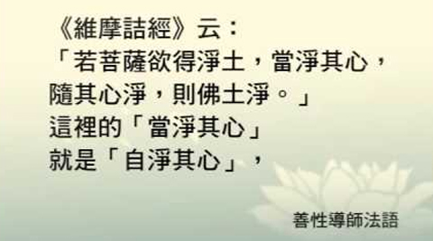 善性導師法語：自淨其心