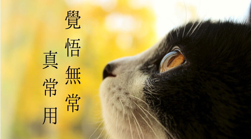 ㄧ句偈的力量-覺悟無常真常用