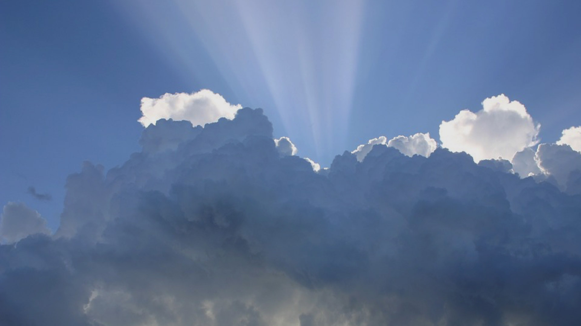 佛性/自性/本心