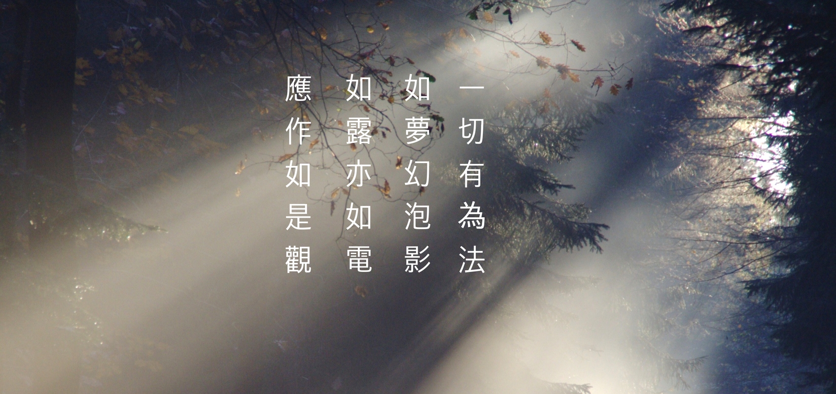 應作如是觀